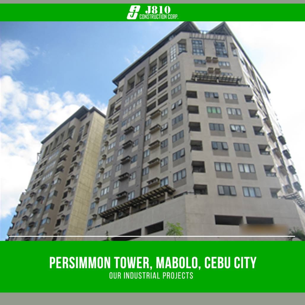 Persimmon Mabolo
